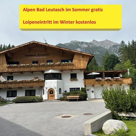 Appartement W7 Haus Ganghofer à Leutasch Extérieur photo